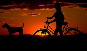 Woman, bike and dog in front of sunset