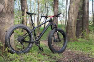 Fat bike In The Woods